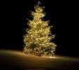 DELTACO SMART HOME Tree light,2m,10strings,300L,WW,adapter,IP44